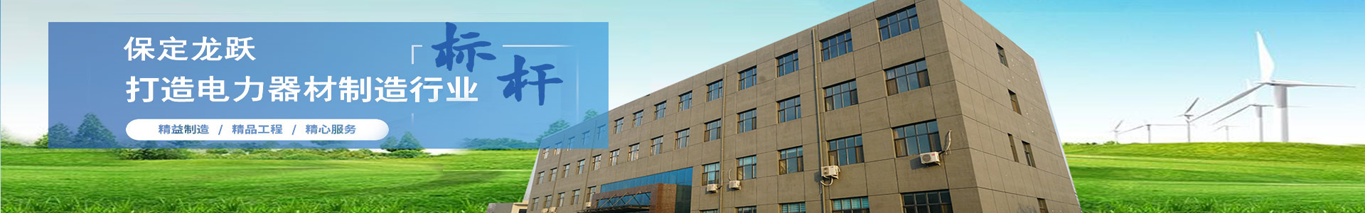 保定市龙跃电力器材制造有限公司